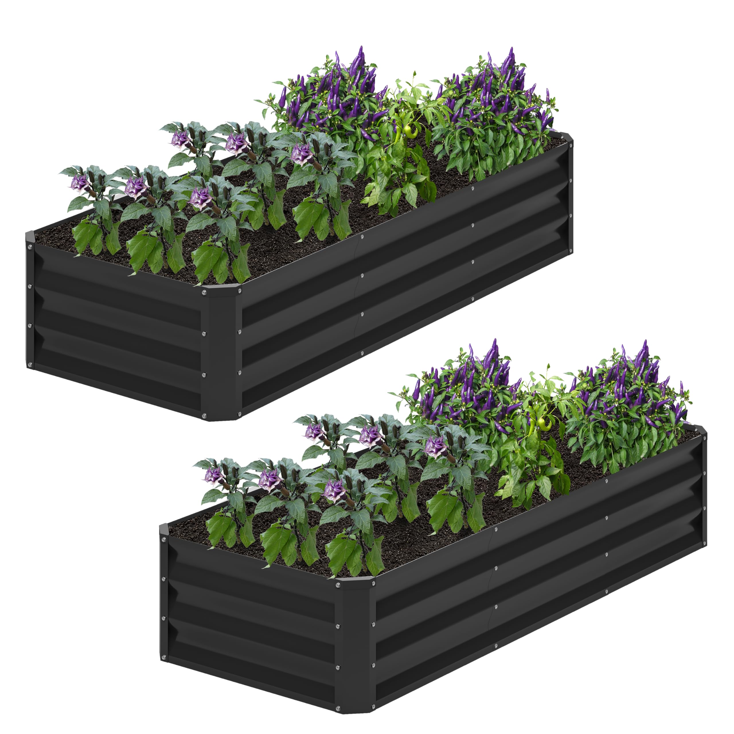 Nedenyou galvanized raised garden bed with ample outdoor planting space for vegetables and flowers