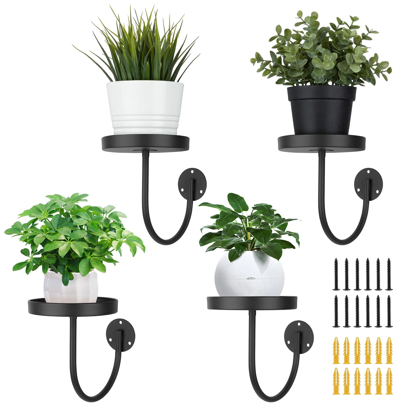 Neiteli wall plant holder front view showcasing sturdy metal construction for indoor greenery