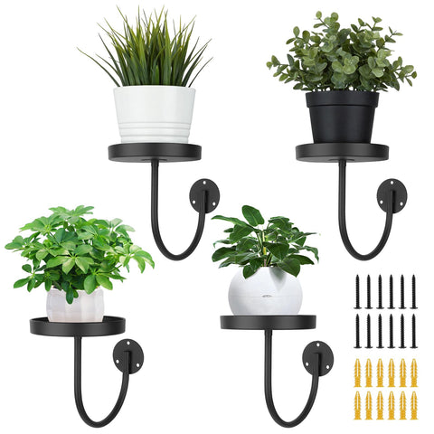 Neiteli wall plant holder front view showcasing sturdy metal construction for indoor greenery