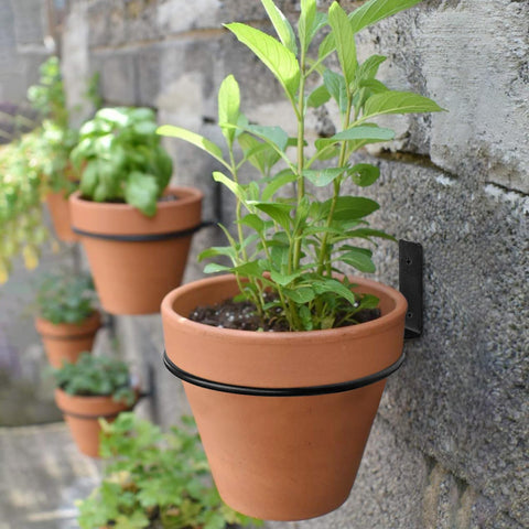 Neiteli black metal wall planter hanger adds modern style indoors and outdoors.