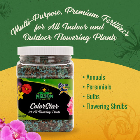 Nelson ColorStar bloom closeup highlights larger, richer flowers with lasting color.