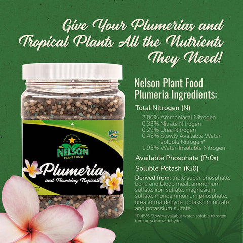 Nelson NutriStar pour-action demonstrates quick soil nutrition for container plants.