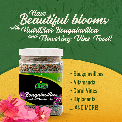 Nelson Plant Food granules close-up illustrating slow-release nutrition for vines