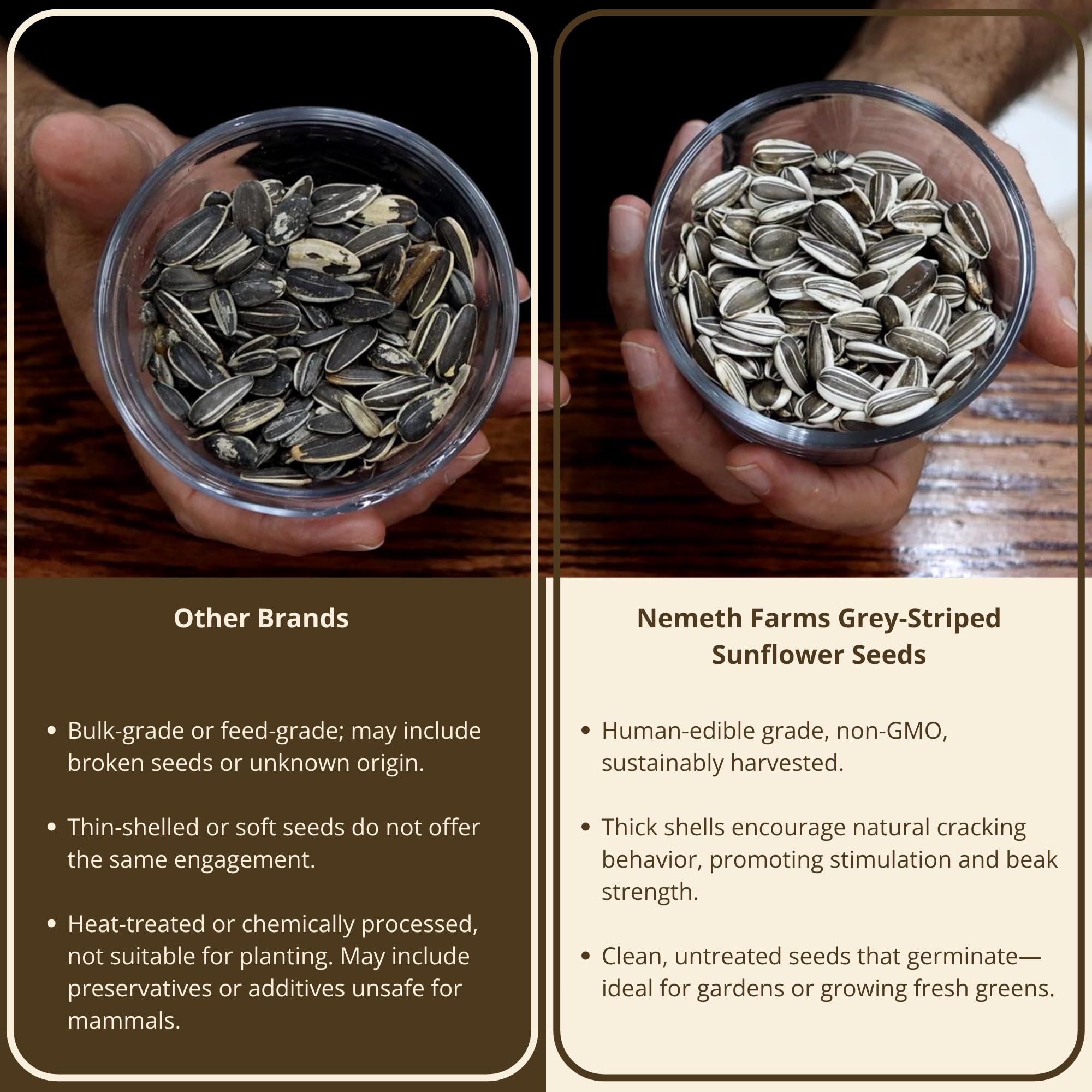 Nemeth Farms non-GMO seeds, sourced for quality and animal wellness in bird diets.