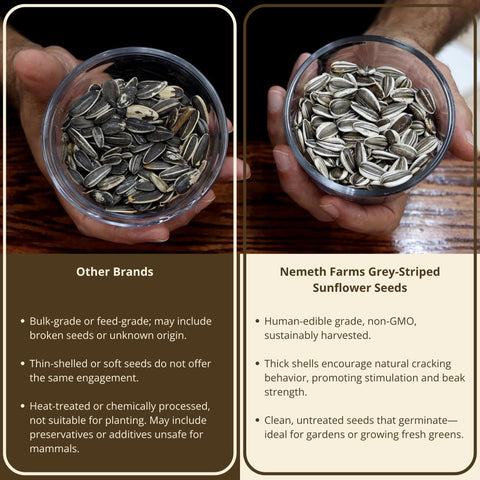 Nemeth Farms non-GMO seeds, sourced for quality and animal wellness in bird diets.