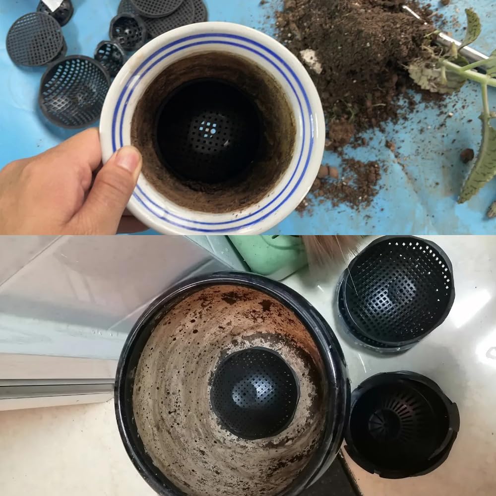 NentMent bonsai pot spacer ensures root zone ventilation.