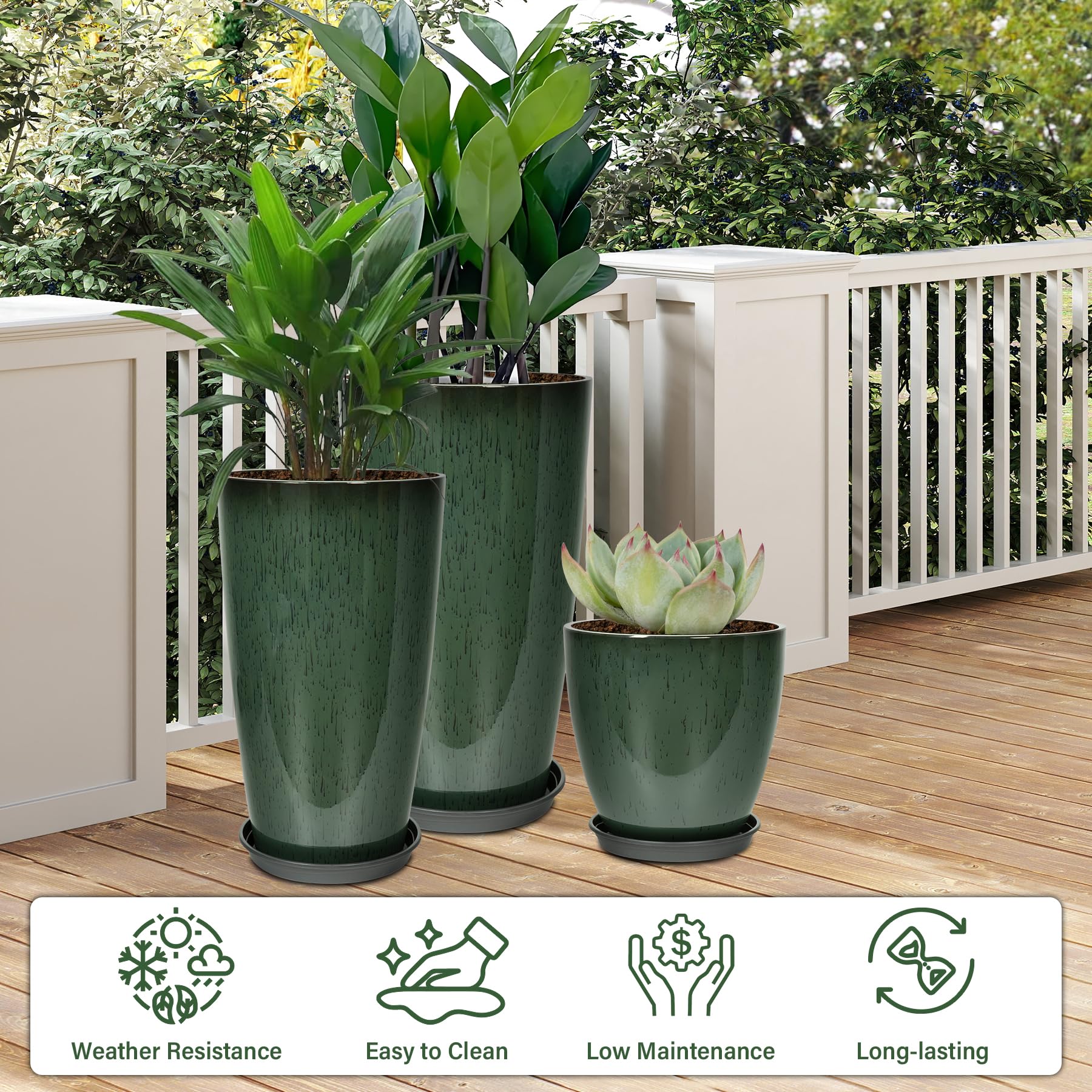 Neoaider 21 in plastic planter ideal for mid-sized shrubs or herbs