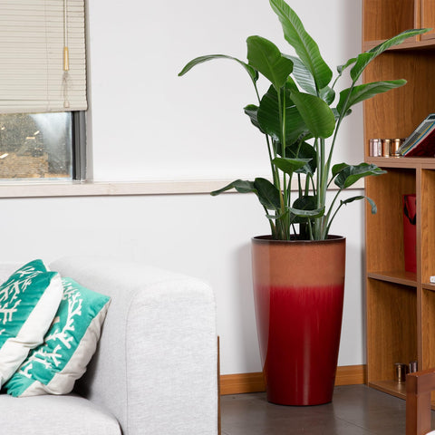 Neoaider fiery red planter suitable for indoor and outdoor use