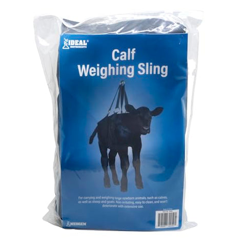 Neogen Ideal Calf Weighing Sling in use, securing a calf for weighing