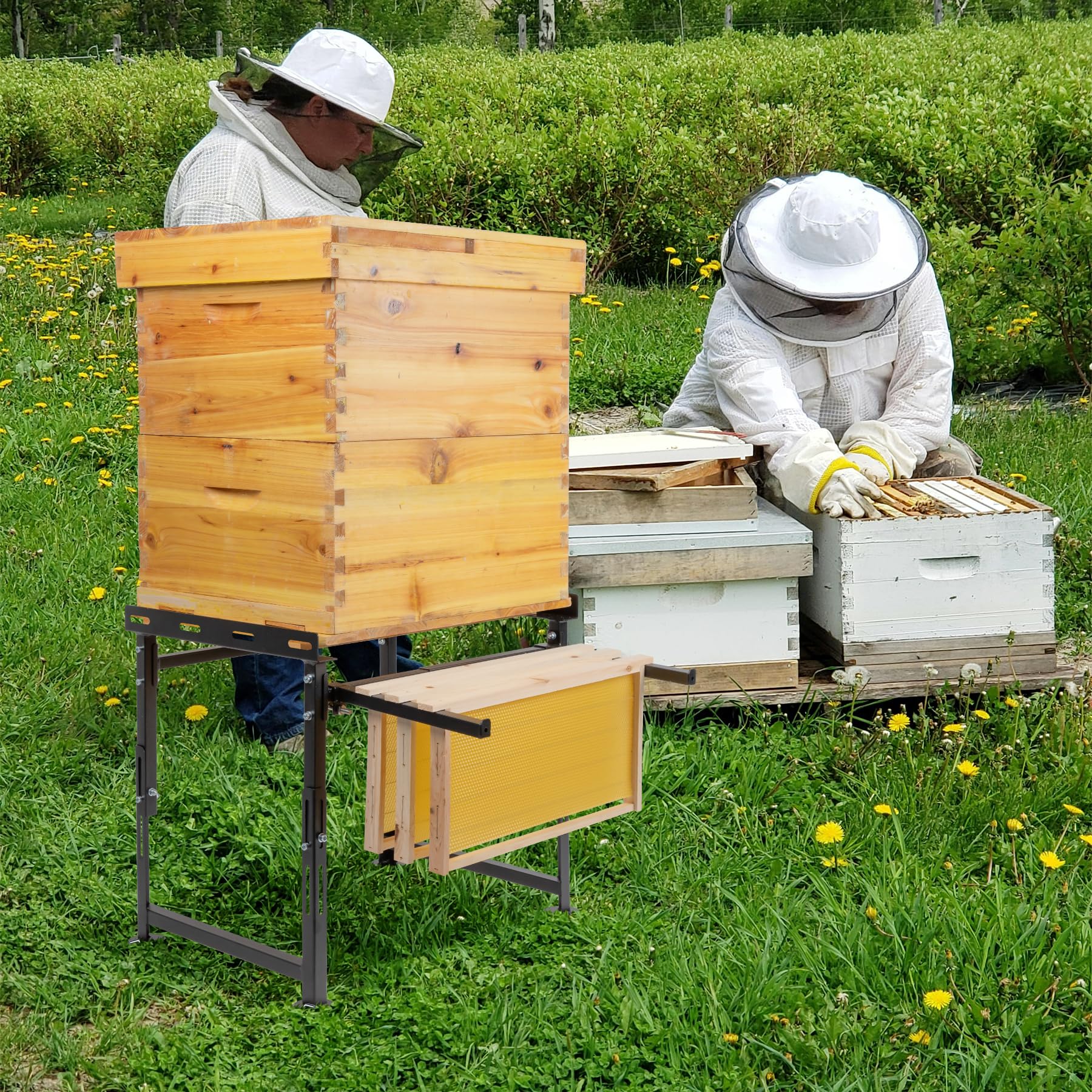 Neorexon hive stand outdoor-perspective highlights full setup and portability.