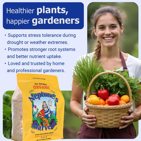 Lawn application with spreader using Neptune's Harvest crab and lobster shell fertilizer