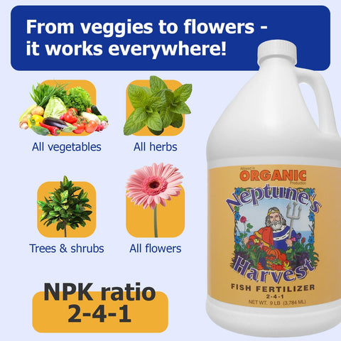 Neptune's Harvest liquid fertilizer being diluted for indoor potted plants.