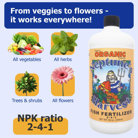 Neptune's Harvest fish fertilizer green-garden-application for outdoor beds.