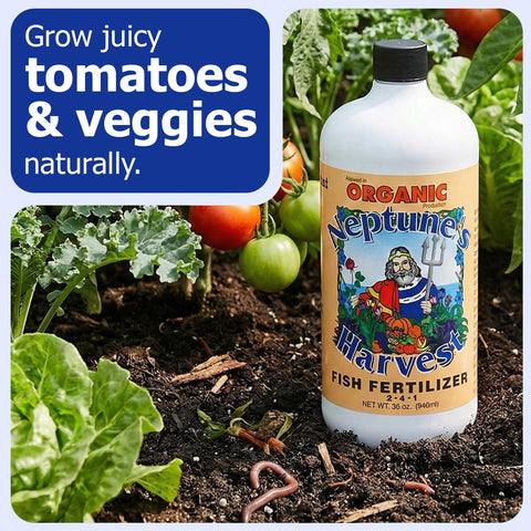 Neptune's Harvest fish fertilizer lawn-soil improves root health and moisture management.