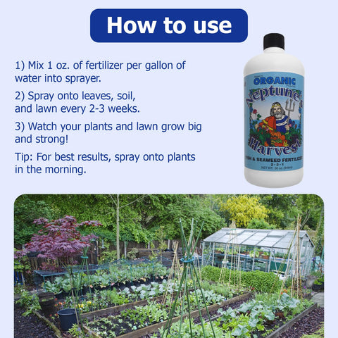 Indoor plants receive easy weekly feeding with Neptune's Harvest liquid fertilizer