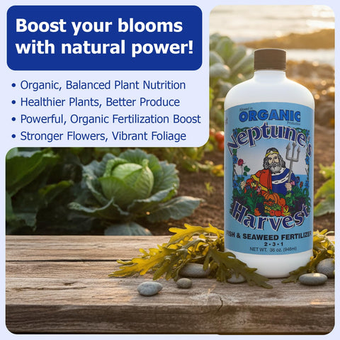 Vegetables and fruit benefit from balanced nutrients in Neptune's Harvest formula