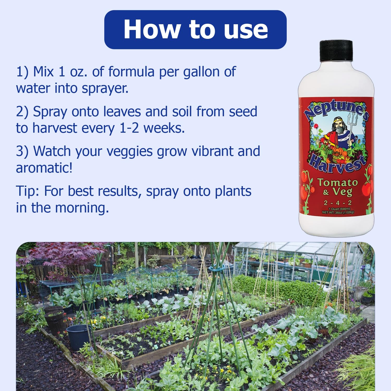 Garden bed with vibrant vegetables after Neptune's Harvest feeding.