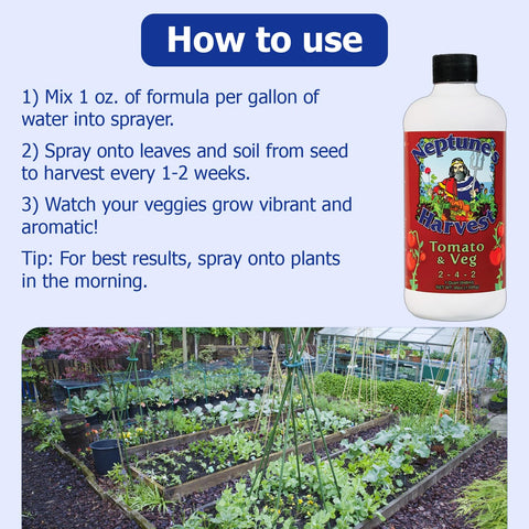 Garden bed with vibrant vegetables after Neptune's Harvest feeding.