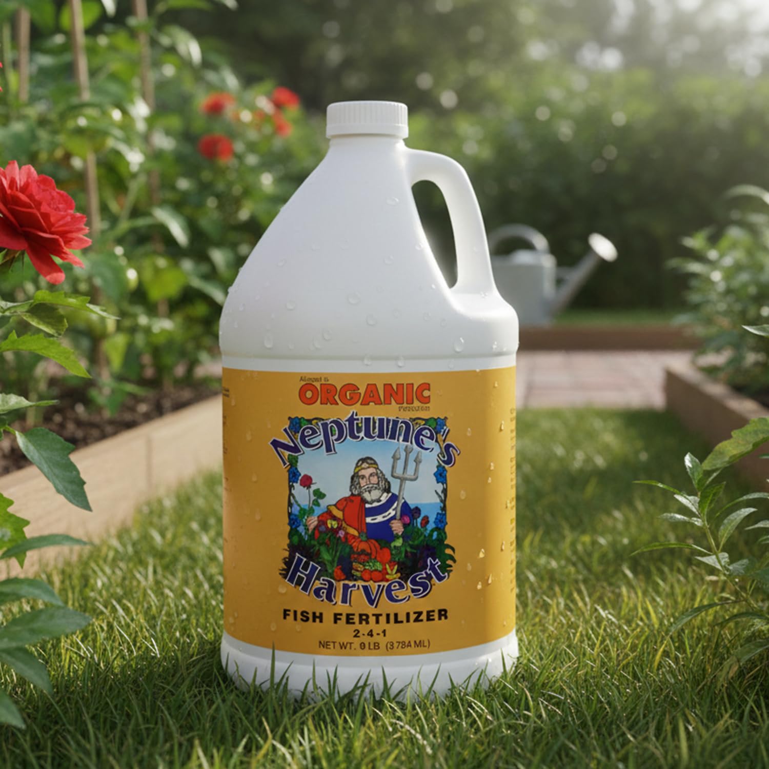 Neptune's Harvest indoor plants foliage treatment for nutrient boost.