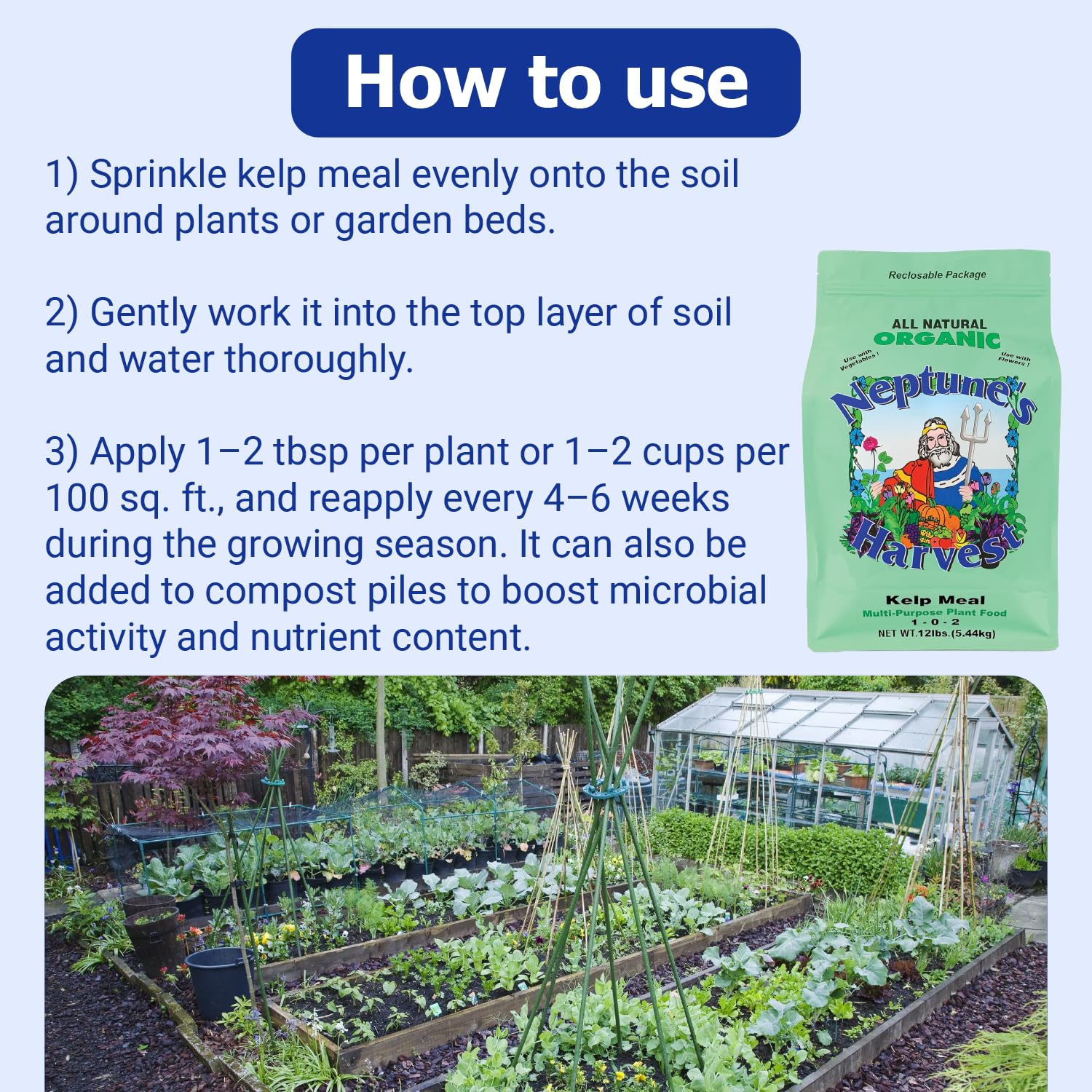 Applying Neptune's Harvest kelp meal to a garden bed.