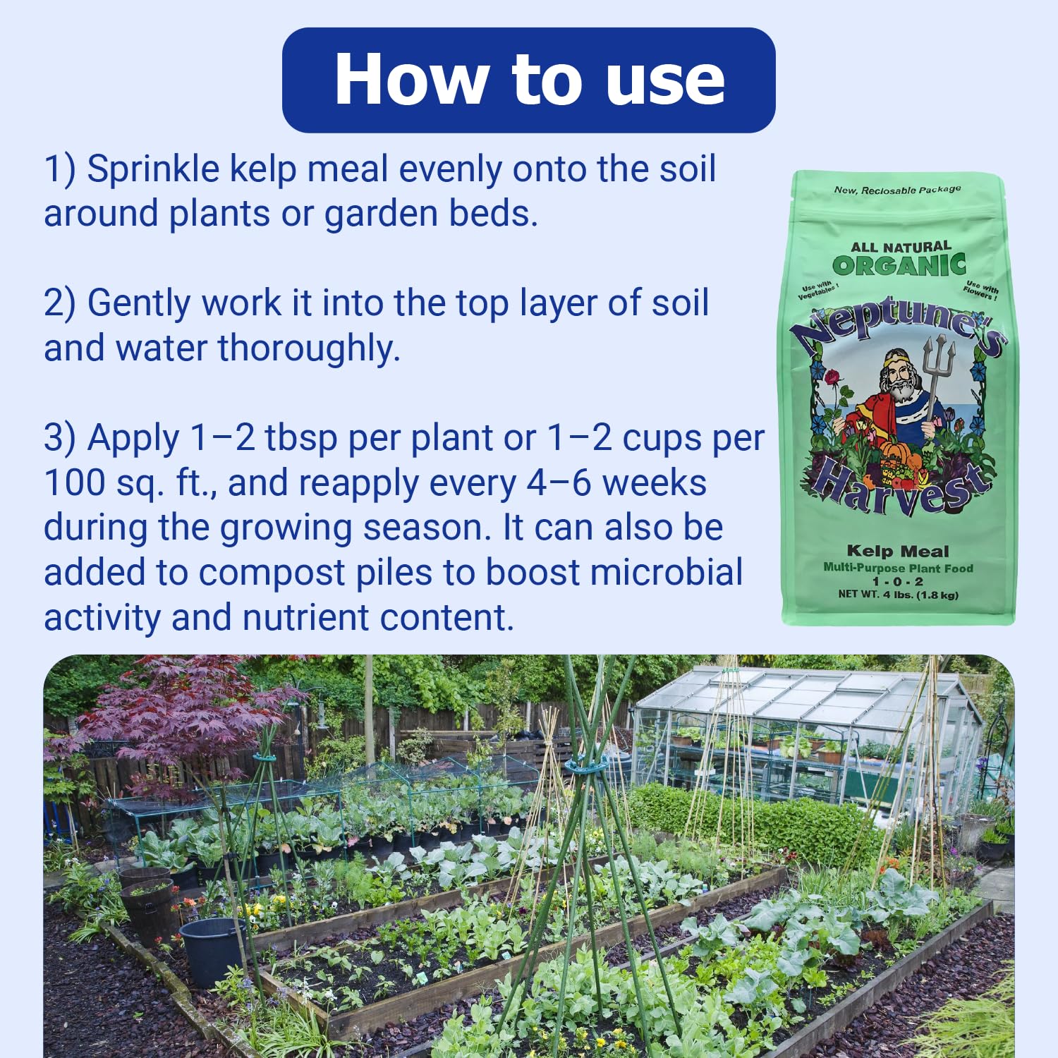 Kelp meal used around lawn soil to support steady growth