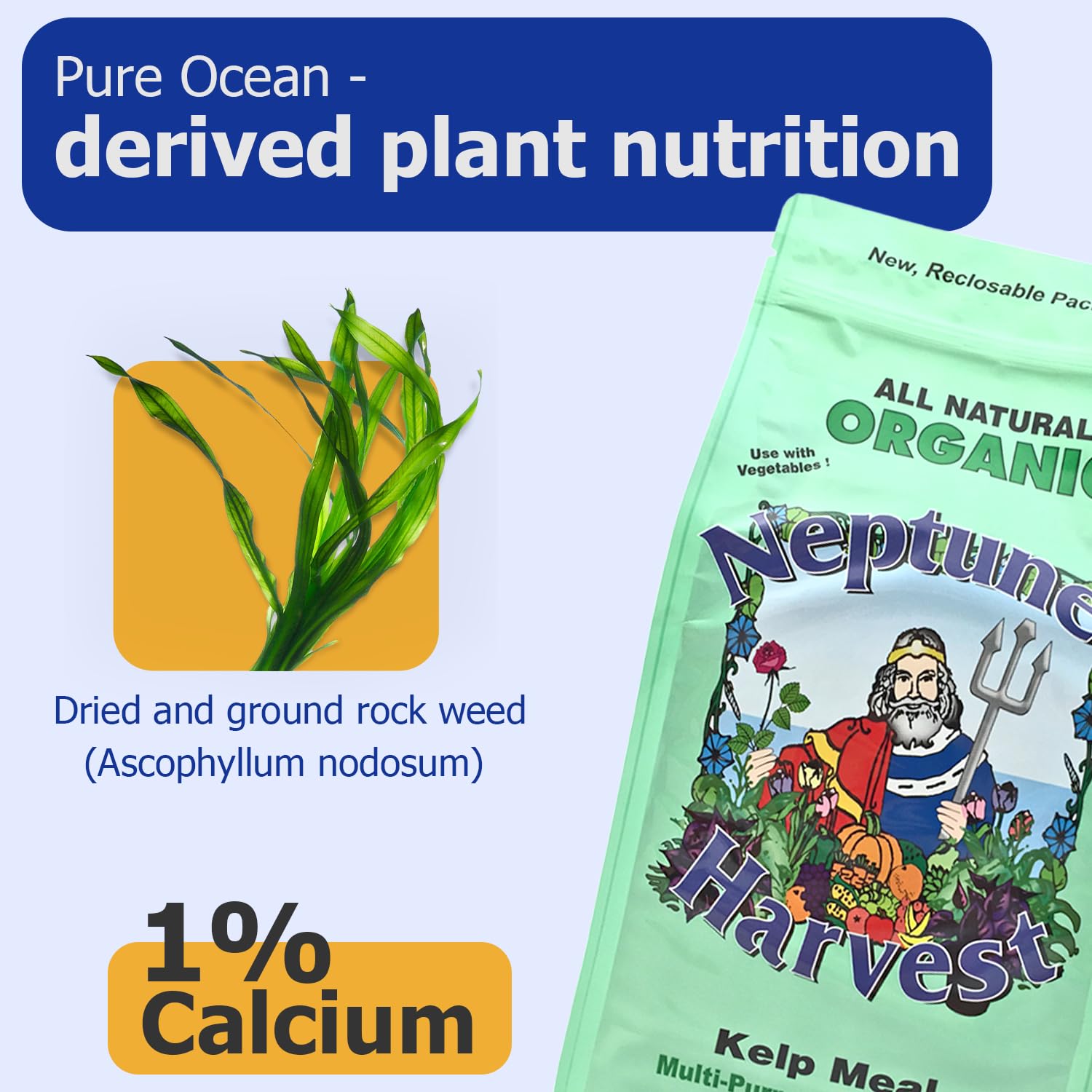 Kelp meal applied to potting mix to enrich soil quality