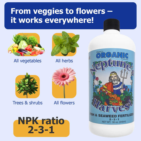 Neptune's Harvest liquid fertilizer used as foliar-feed delivers nutrients to foliage for vibrant color.