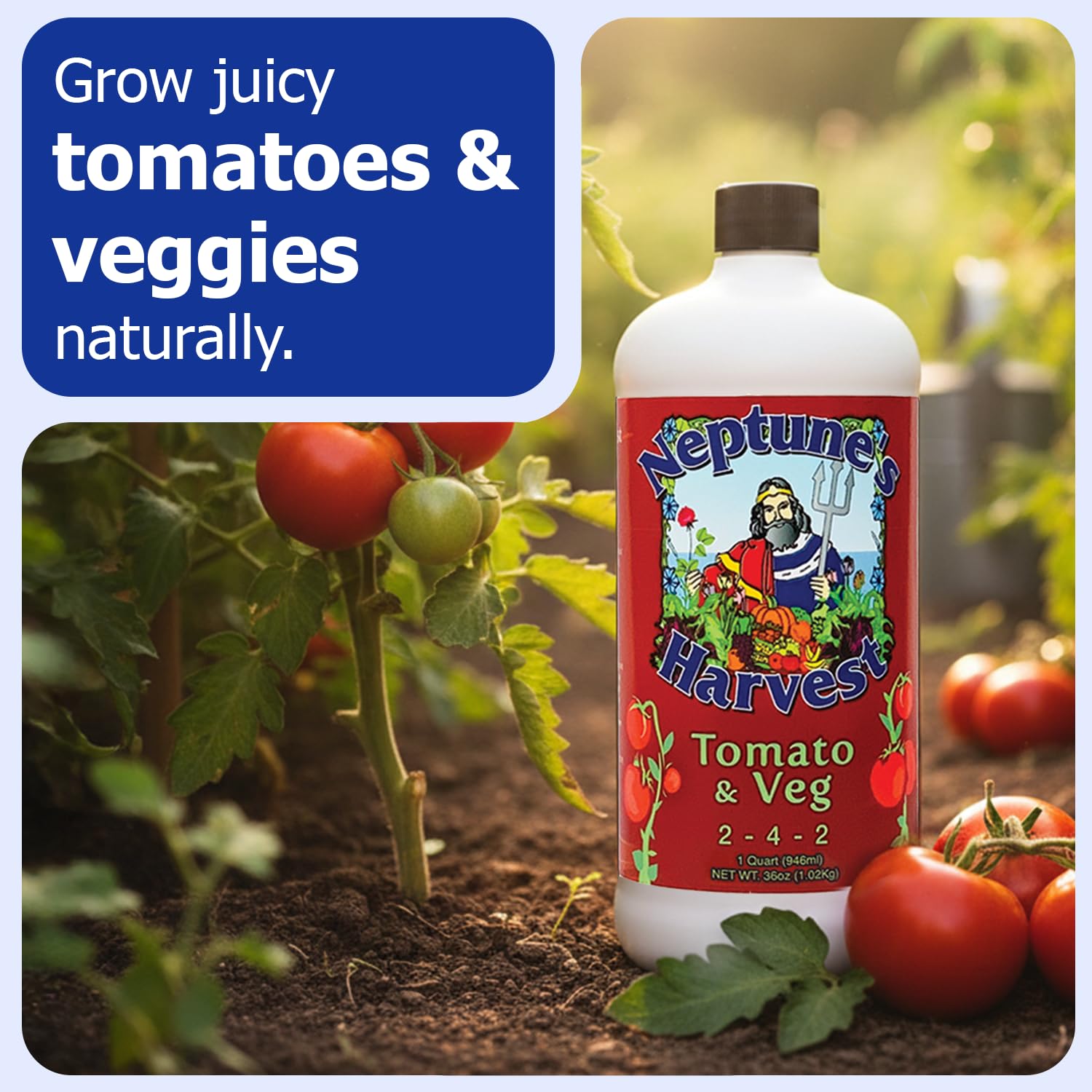 Measuring cup shows dilution for outdoor garden feeding with Neptune's Harvest.