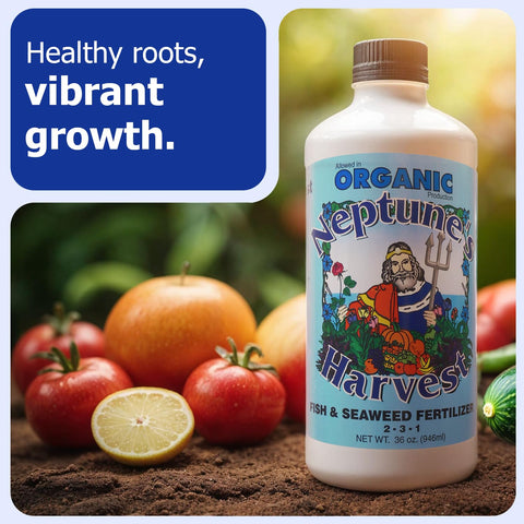 Neptune's Harvest organic liquid fertilizer applied as a soil drench supports soil health and root growth.