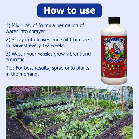 Outdoor application with Neptune's Harvest demonstrates easy dilution and root feeding