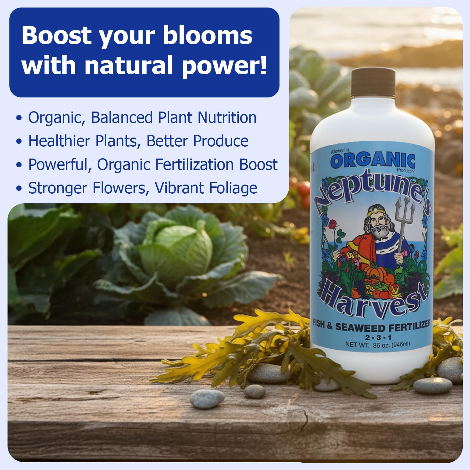 Neptune's Harvest outdoor-garden application supports robust growth in vegetables, flowers, and fruit.
