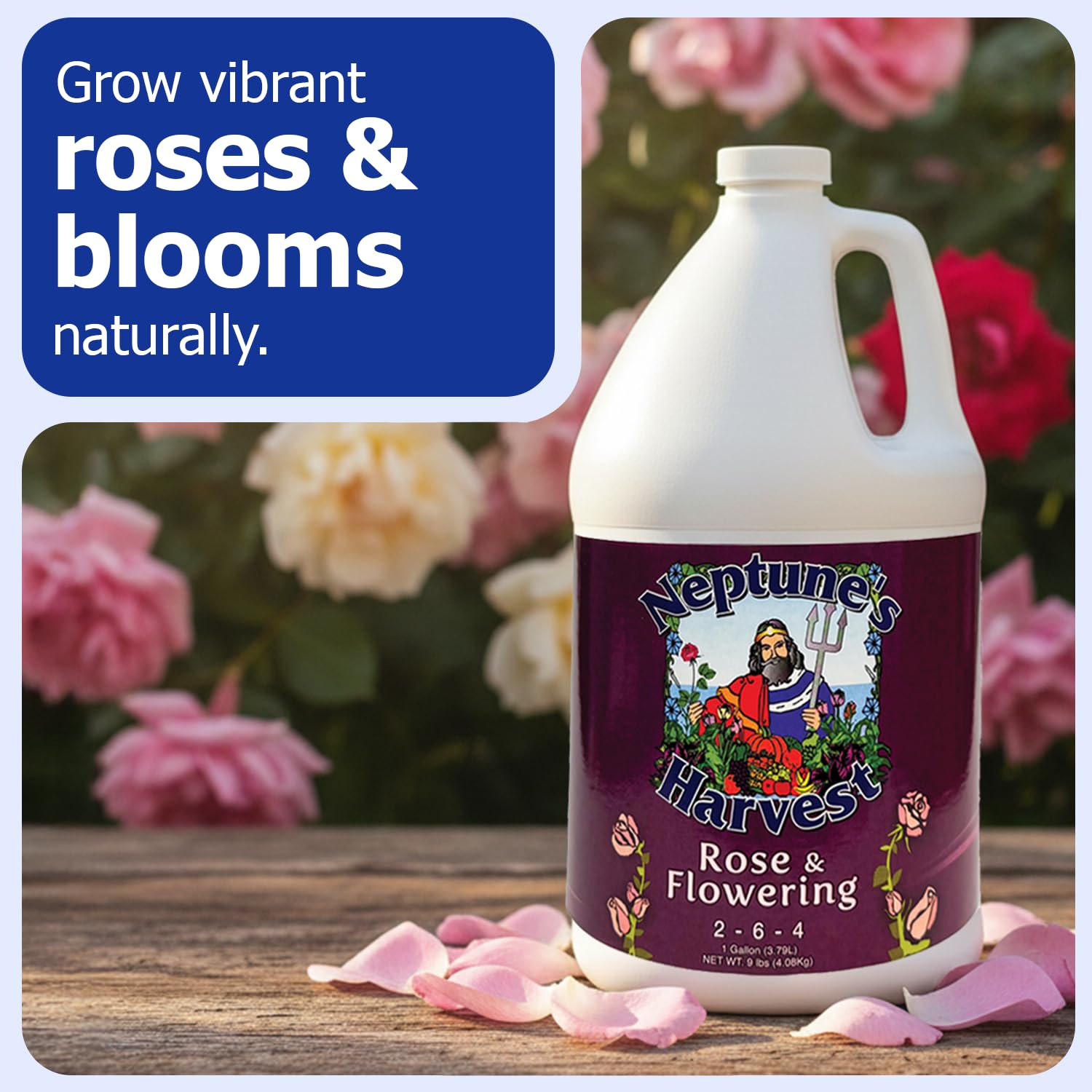 Neptune's Harvest Rose & Flowering Fertilizer application demonstrates easy soil and foliar feeding.