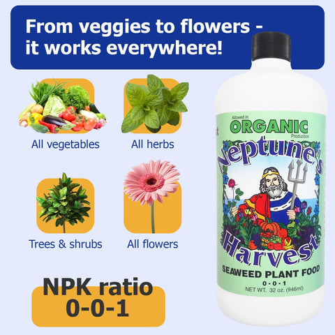 Outdoor houseplants thrive with Neptune's Harvest Seaweed Plant Food in use.
