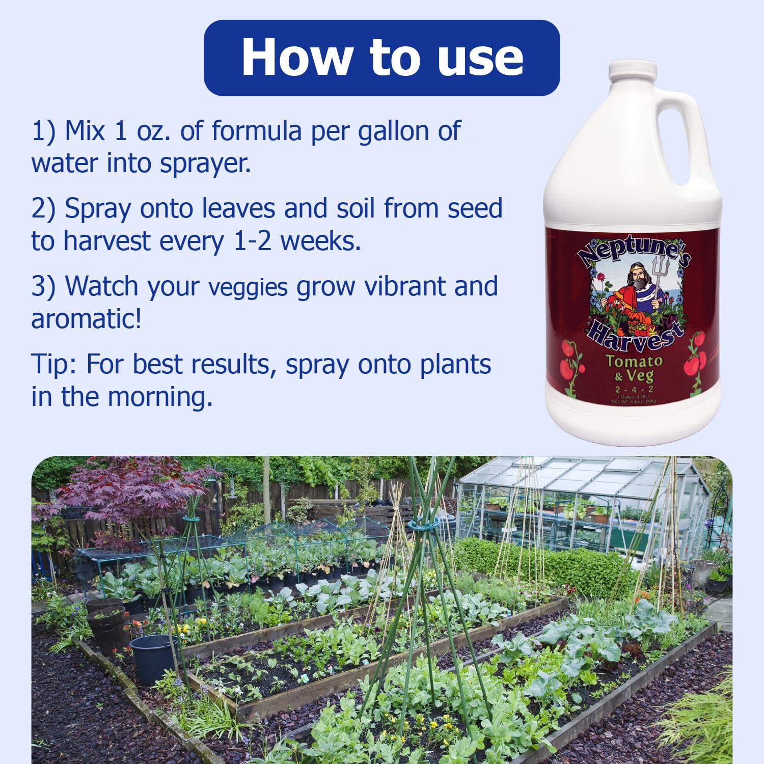Neptune's Harvest tomato and vegetable fertilizer garden vegetables scene for higher yields.