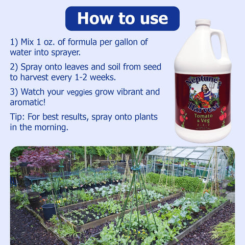 Neptune's Harvest tomato and vegetable fertilizer garden vegetables scene for higher yields.