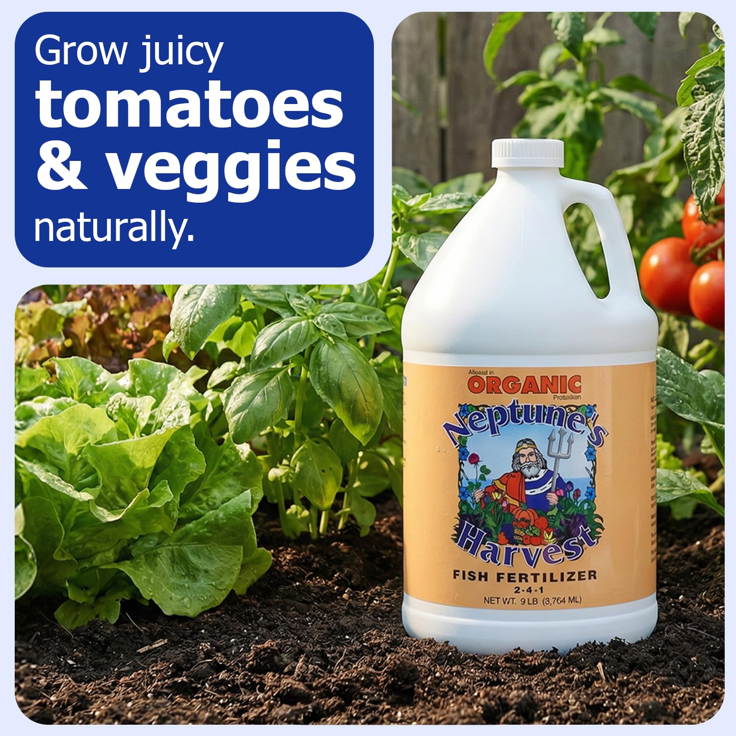 Neptune's Harvest vegetables receiving fertilizer for better yields.