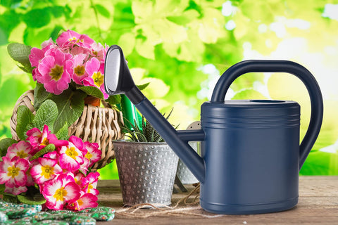 NERUB Watering Can provides a gentle pour to protect delicate plants