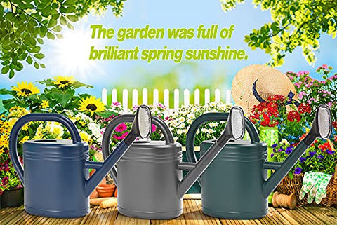 NERUB Watering Can suitable for indoor and outdoor plant care