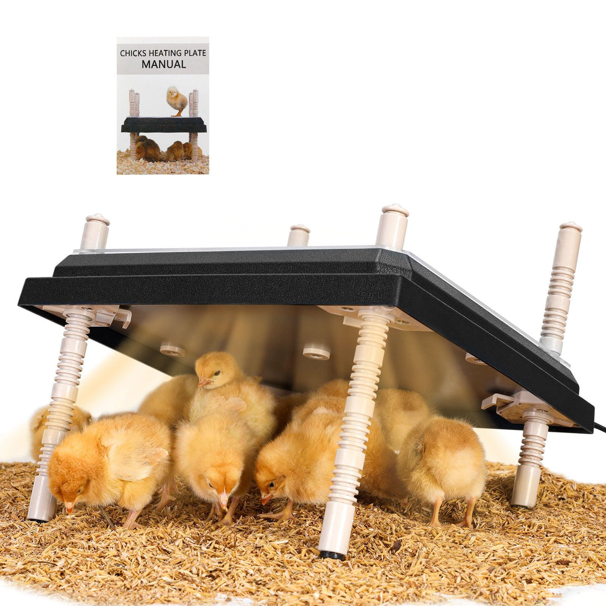 NesCozy Brooder Heating Plate 15W providing gentle warmth for newborn chicks