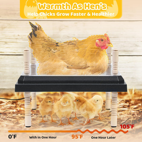 NesCozy Brooder Plate with adjustable legs adapting to growing chicks