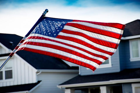 NESSDOVE flag shown in indoor and outdoor display settings