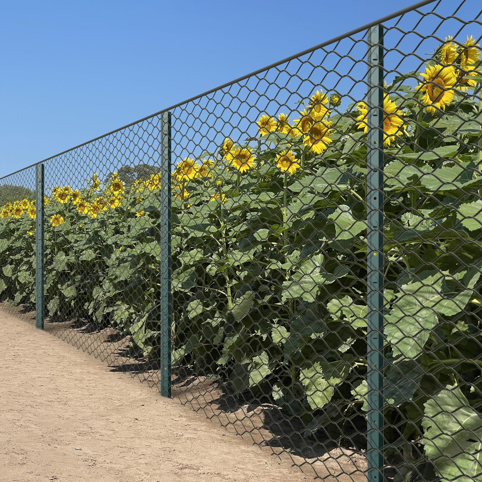 Nessxa quick in-ground installation across different soil types.