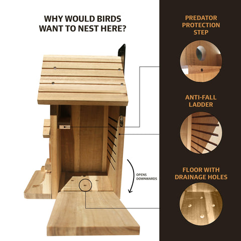Nestingood classroom-friendly STEM craft kit for learning outdoors