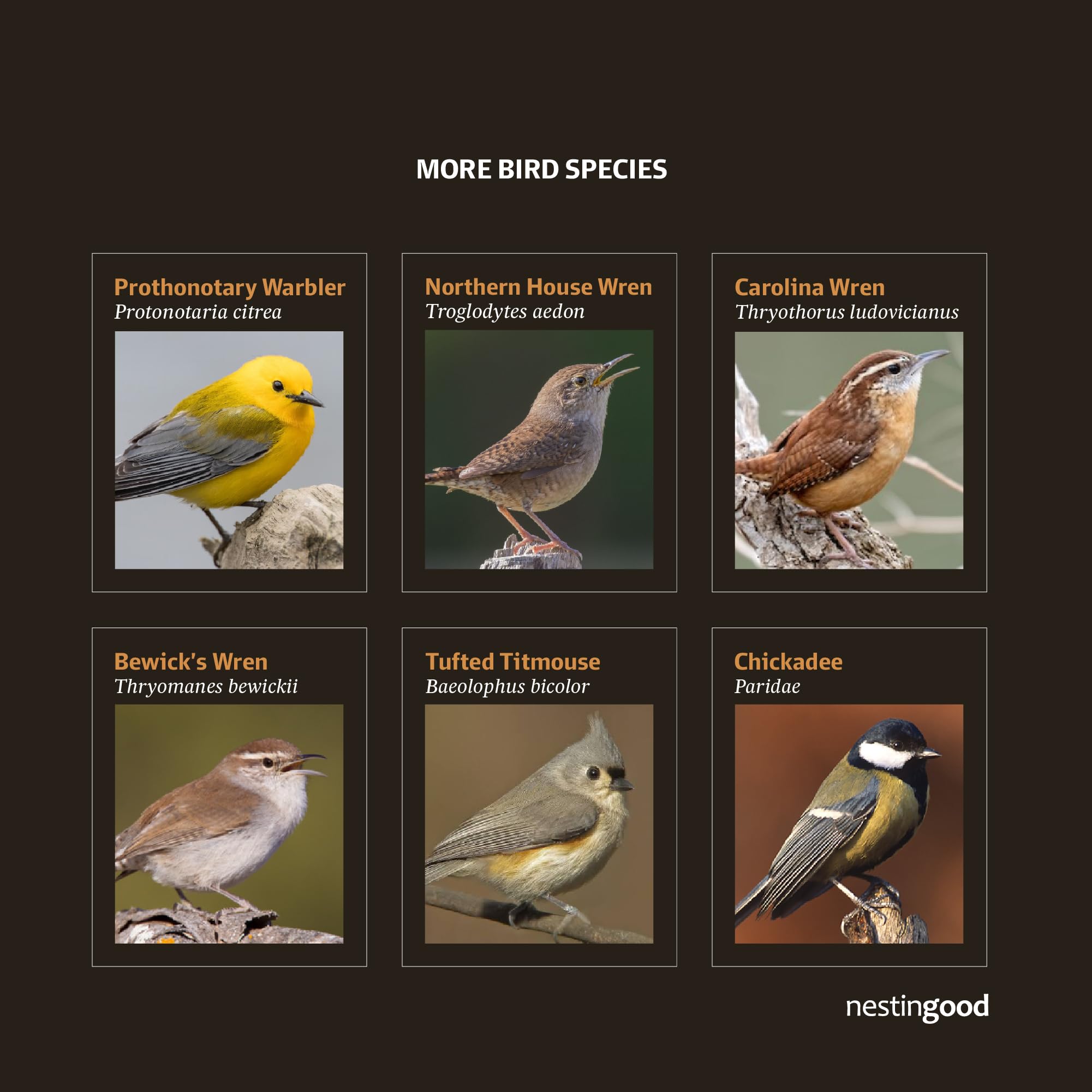 Nestingood wooden bird house kit assembly steps for beginners