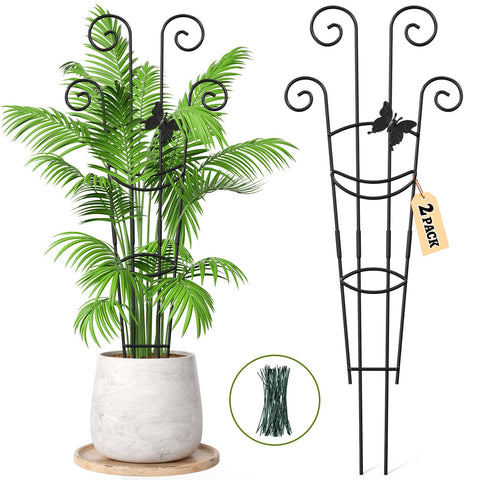Netuaoo plant trellis assembly image showing quick setup for vertical growth