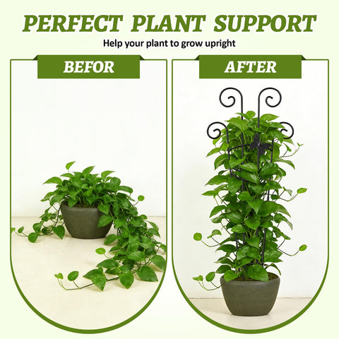 Netuaoo plant trellis supporting climbing vines in indoor garden setting