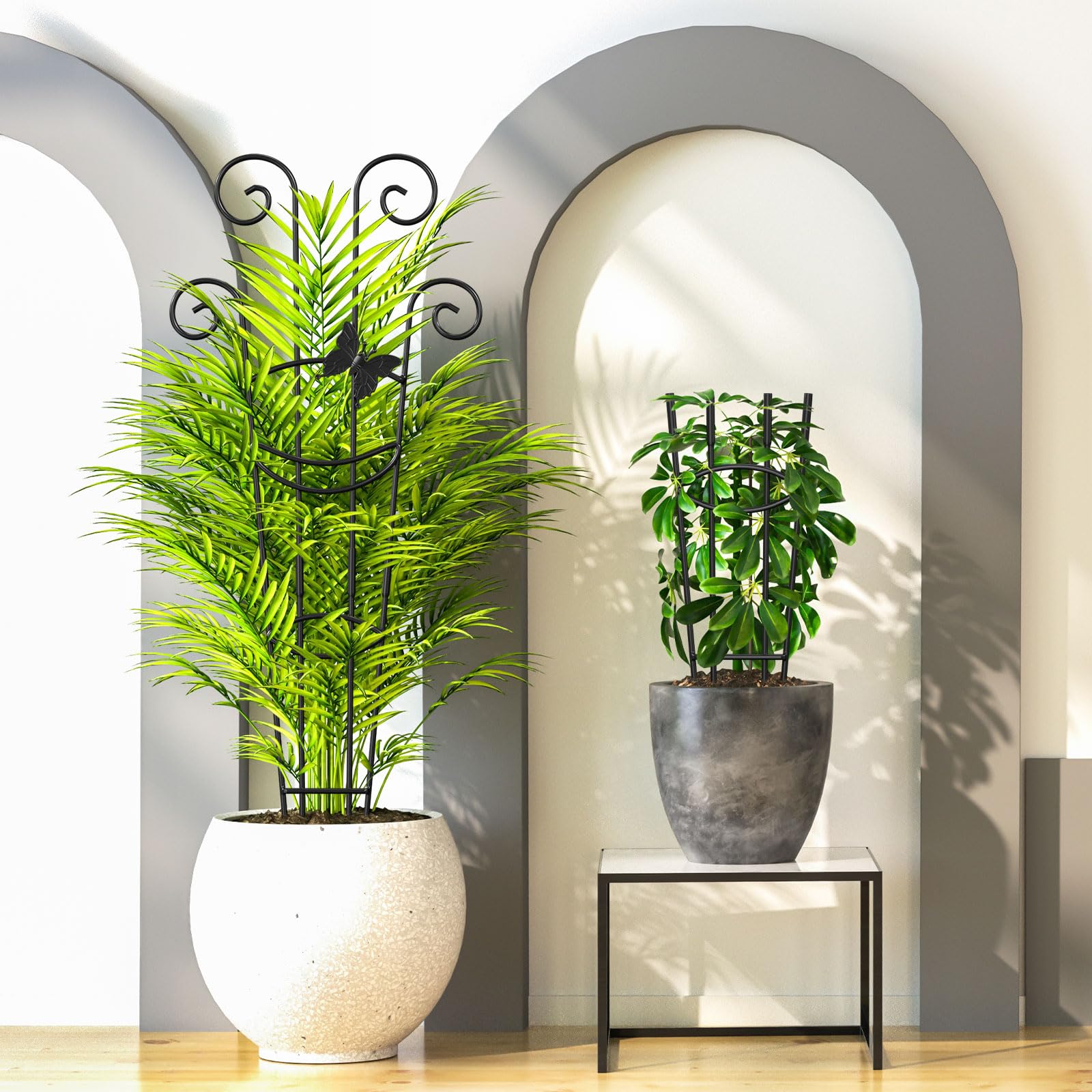Netuaoo plant trellis space-saving growth in a compact setup