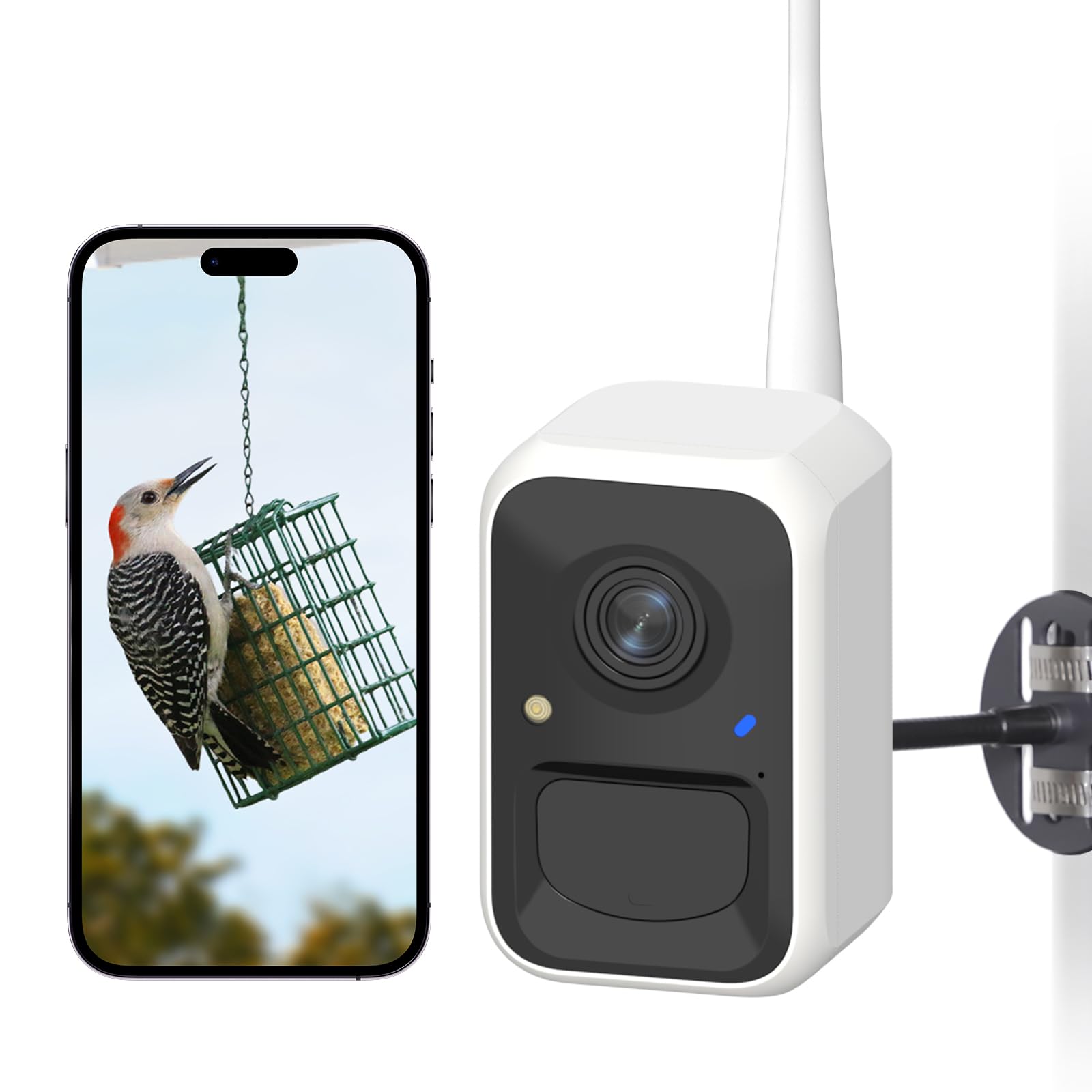 NETVUE Bird Feeder Camera front view showing clear detail and inviting visits