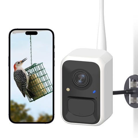 NETVUE Bird Feeder Camera front view showing clear detail and inviting visits