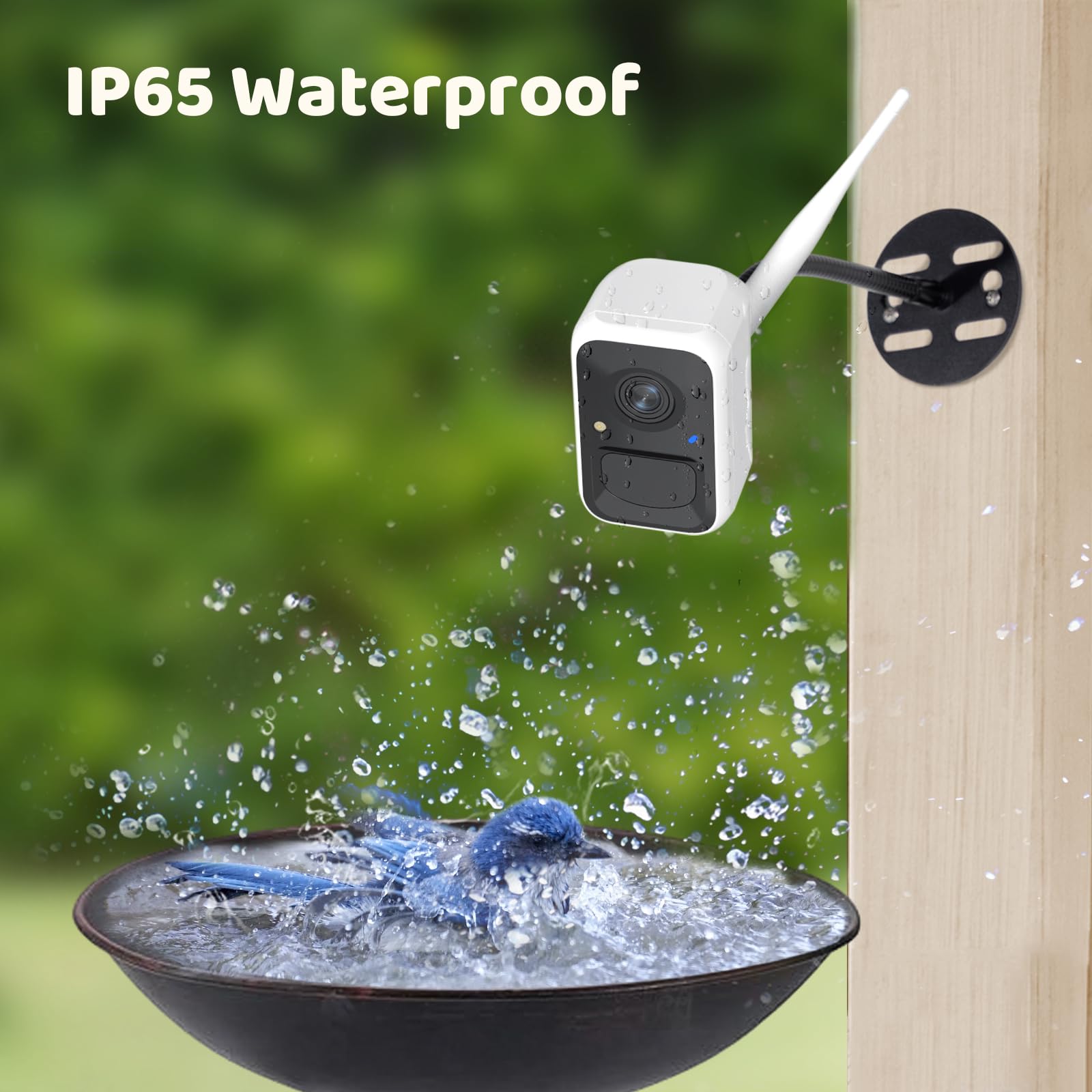 1080p video clarity from NETVUE Birdfy backyard camera